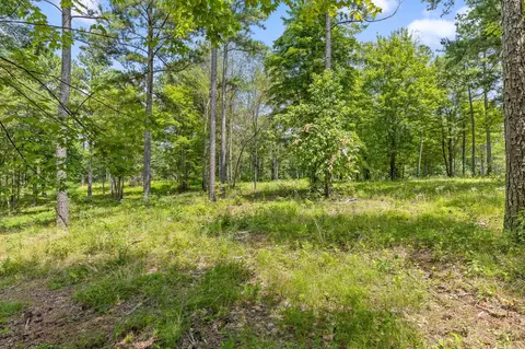 0 Treetop St, Guild, TN 37340 photo 19