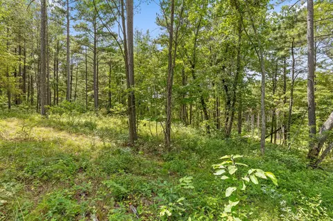 0 Treetop St, Guild, TN 37340 photo 13