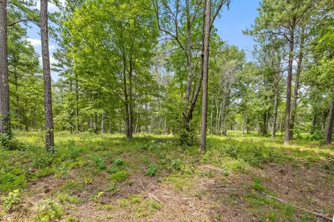 0 Treetop St, Guild, TN 37340 photo 18