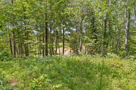 0 Treetop St, Guild, TN 37340 photo 21