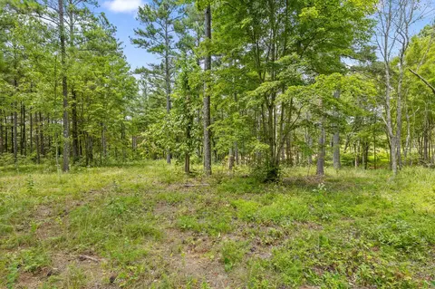 0 Treetop St, Guild, TN 37340 photo 20
