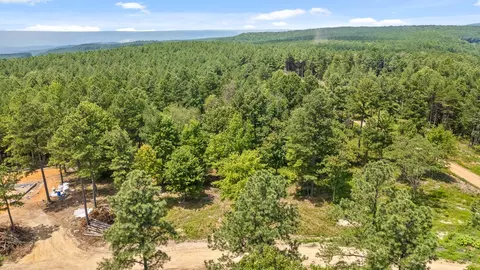 0 Treetop St, Guild, TN 37340 photo 12