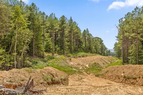 0 Treetop St, Guild, TN 37340 photo 28