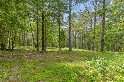 0 Treetop St, Guild, TN 37340 photo 14
