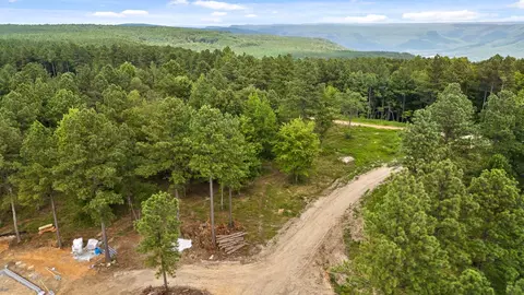 0 Treetop St, Guild, TN 37340 photo 6