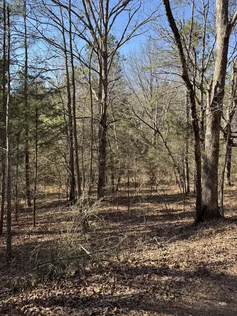 2311 John Wesley Trl, Harrison, TN 37341