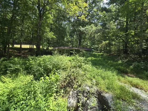 808 Enochs Rd, Mcewen, TN 37101 photo 4