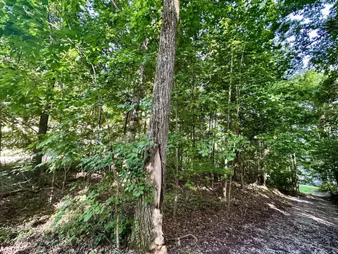 0 Paradise Dr, Waterloo, AL 35677 photo 4