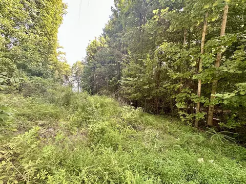 0 Paradise Dr, Waterloo, AL 35677 photo 3