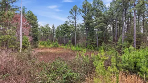 1040 Expedition Dr, Guild, TN 37340 photo 2