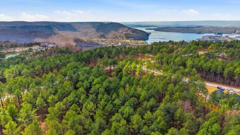 1040 Expedition Dr, Guild, TN 37340 photo 5