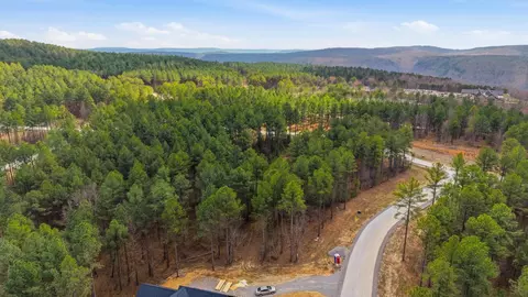 1040 Expedition Dr, Guild, TN 37340 photo 3