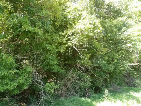 0 Highway 13 S, Waverly, TN 37185