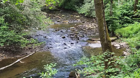 0 Tumbling Creek Rd, Copperhill, TN 37317