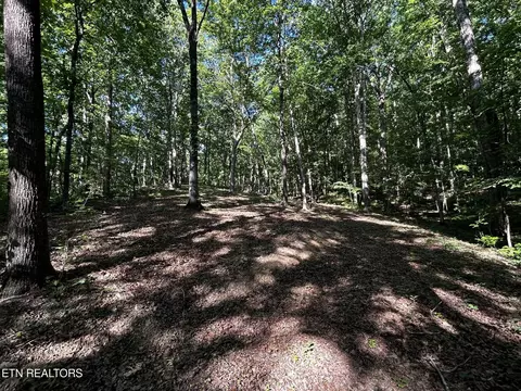 1 Highway 304, Ten Mile, TN 37880