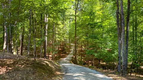 Other - 2403 Sarvisberry Dr, Monteagle, TN 37356 photo 6 of 7