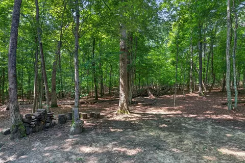 Exterior - 2403 Sarvisberry Dr, Monteagle, TN 37356 photo 11 of 15