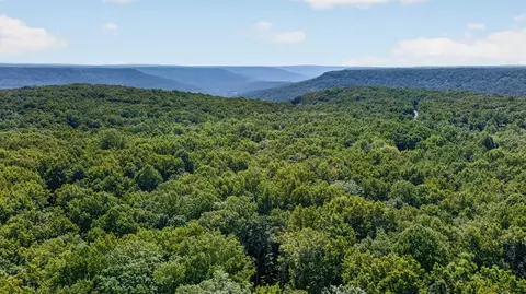 Other - 2403 Sarvisberry Dr, Monteagle, TN 37356 photo 7 of 7