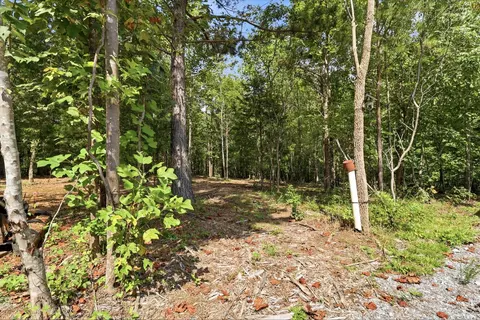 137 Summit Dr, Dover, TN 37058 photo 42