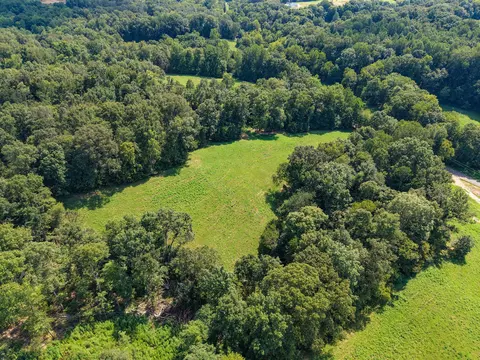 View/Area - 0 Shelter Branch Tract 3, Dickson, TN 37055 photo 7 of 21