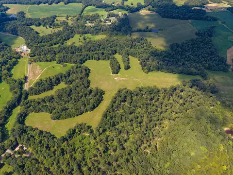 View/Area - 0 Shelter Branch Tract 3, Dickson, TN 37055 photo 13 of 21