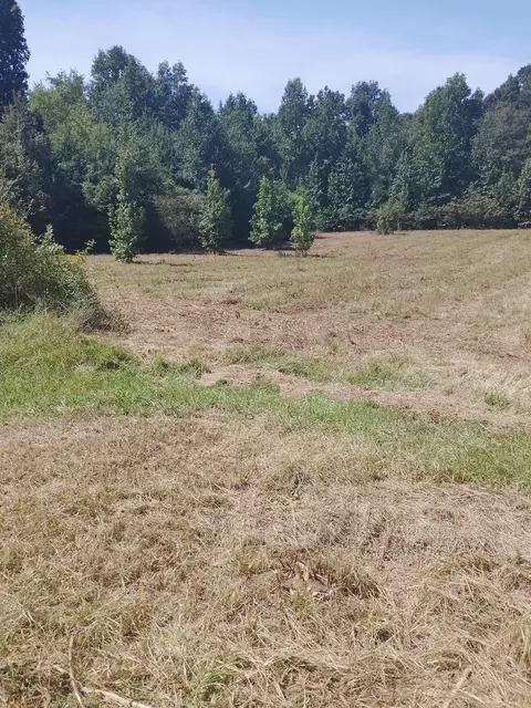 2010 Rock Rd, Morrison, TN 37357 photo 36
