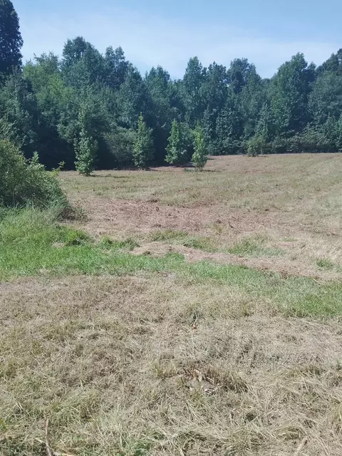 2010 Rock Rd, Morrison, TN 37357 photo 38