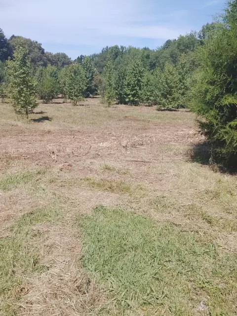 2010 Rock Rd, Morrison, TN 37357 photo 37