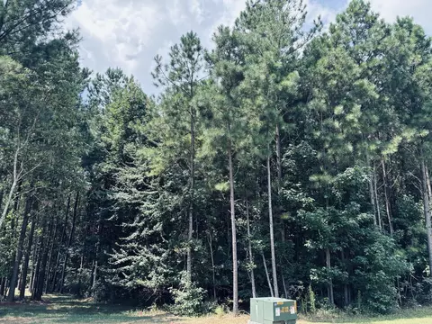 395 Volunteer St, Jasper, TN 37347