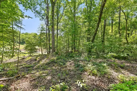 0 Maple Leaf Trl, Lookout Mountain, GA 30750