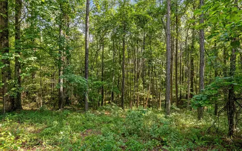 2017 Harmony St, Guild, TN 37340 photo 8