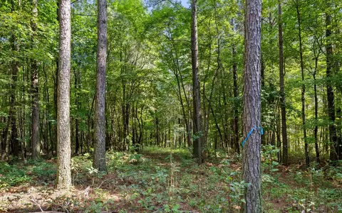 2020 Harmony St, Guild, TN 37340 photo 7