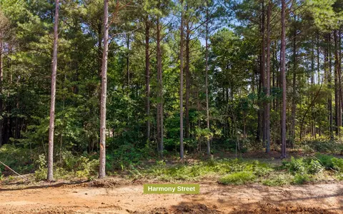 2020 Harmony St, Guild, TN 37340 photo 11