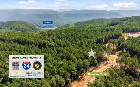 2020 Harmony St, Guild, TN 37340 photo 13