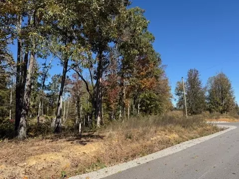 9599 Medlin Rd, Baxter, TN 38544 photo 5