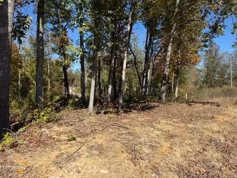 9599 Medlin Rd, Baxter, TN 38544 photo 4