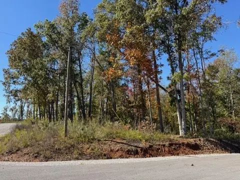 9599 Medlin Rd, Baxter, TN 38544 photo 3
