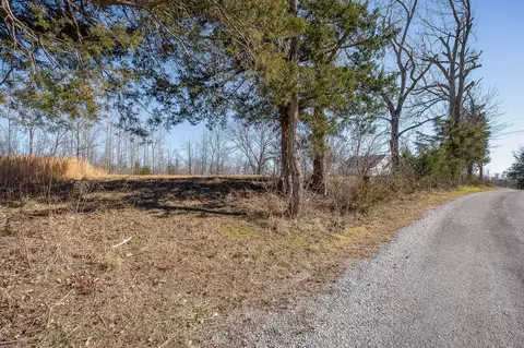 0 Backbone Rd, Smithville, TN 37166 photo 11