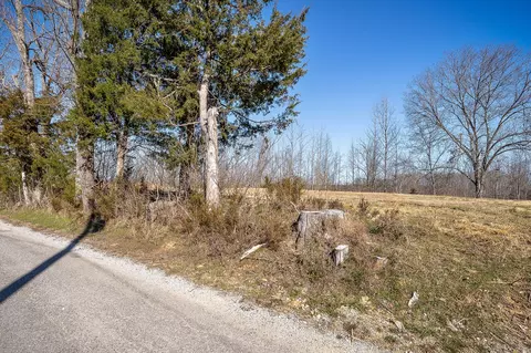 0 Backbone Rd, Smithville, TN 37166 photo 13