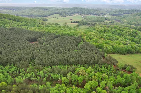 190 Sims Rd, Decatur, TN 37322