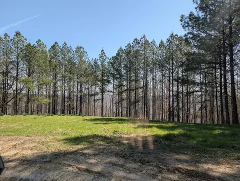 2241 Riverbend Rd, Guild, TN 37340 photo 3