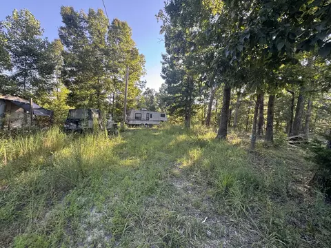 175 Fern Springs Rd, Hohenwald, TN 38462