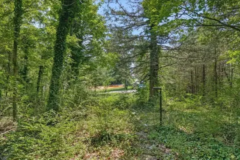 0 Thacker St, Etowah, TN 37331 photo 4