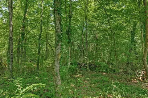 0 Thacker St, Etowah, TN 37331 photo 8