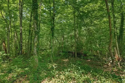 0 Thacker St, Etowah, TN 37331 photo 9