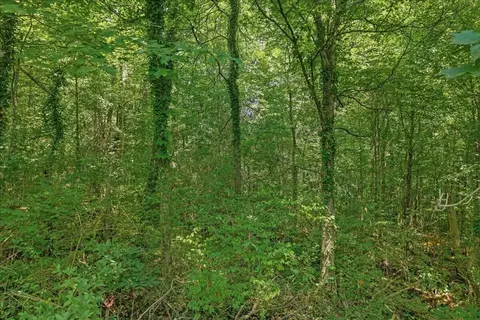 0 Thacker St, Etowah, TN 37331 photo 10
