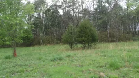 Other - 0 Denton Rd, Moss, TN 38575 photo 19 of 67