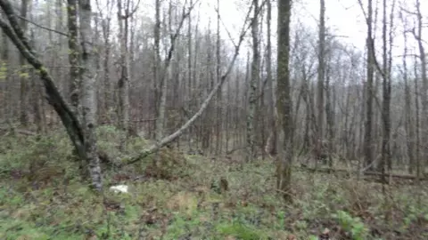 Other - 0 Denton Rd, Moss, TN 38575 photo 36 of 67