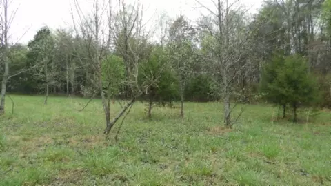Other - 0 Denton Rd, Moss, TN 38575 photo 3 of 67