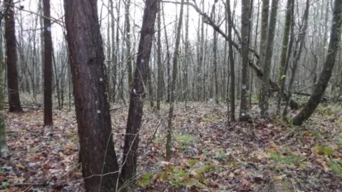 Other - 0 Denton Rd, Moss, TN 38575 photo 42 of 67